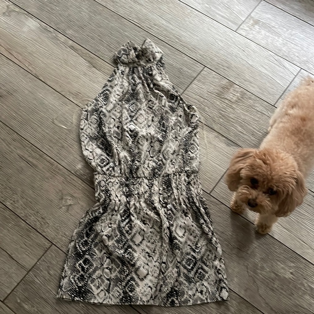 Snake print summer dress